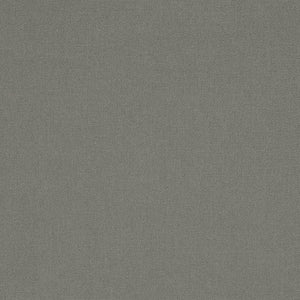 Sunbrella Cavas Charcoal Elements Collection Upholstery Fabric (54048-0000)